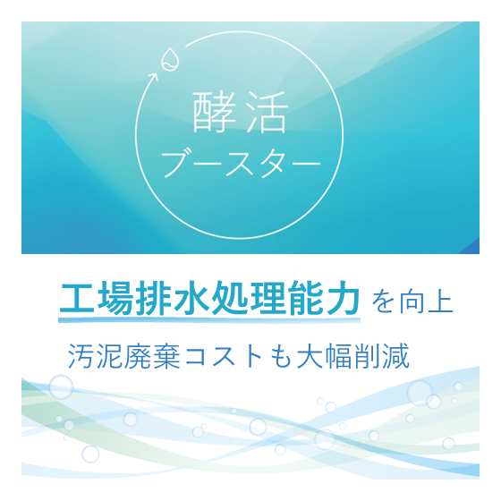 コウカツ_メイン画像.png