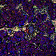 Image4_2.png