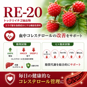 血中コレステロールサポート素材-RE-20（エラグ酸 規格化）