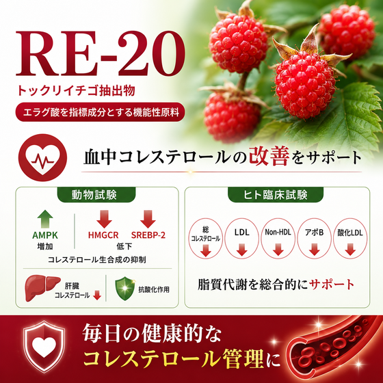 02302c90-a4ba-414c-b9a0-27415a3f8046.png