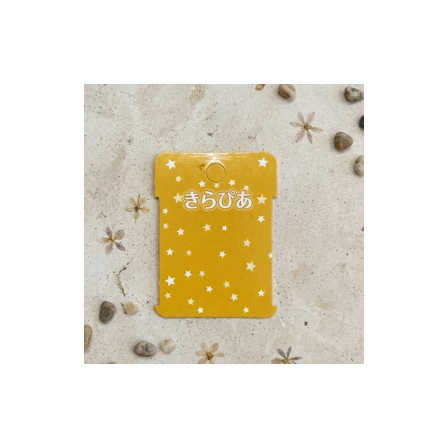 １７ピアス.png