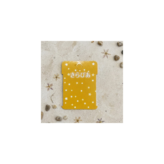１７ピアス.png