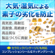 shima-tra_560_560_2052348.png