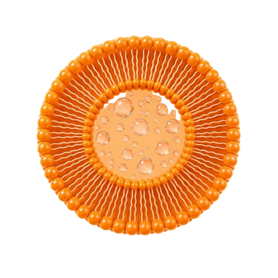 Gemini_Generated_Image_gv1fwdgv1fwdgv1f (1).png