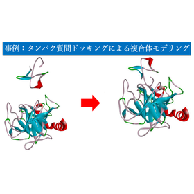 【技術コラム】タンパク質間ドッキングによる複合体モデリング