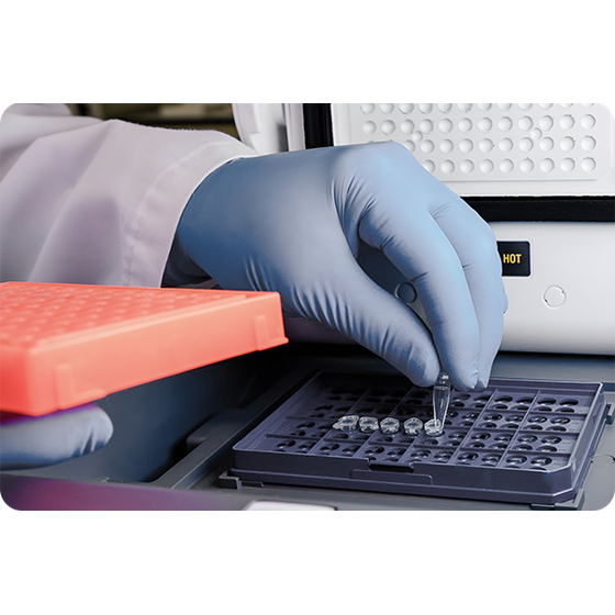Loading-DNA-PCR.png