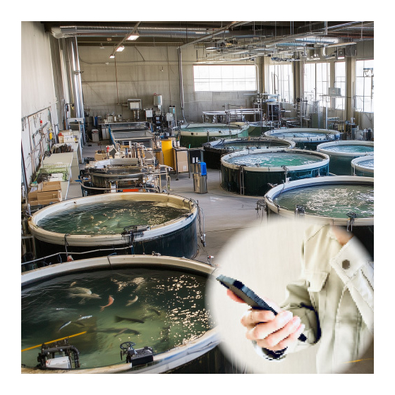 Iotalert_Aquaculture.jpg