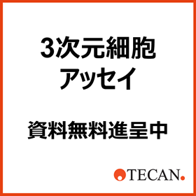 ３次元細胞アッセイの効率化と再現性のヒント