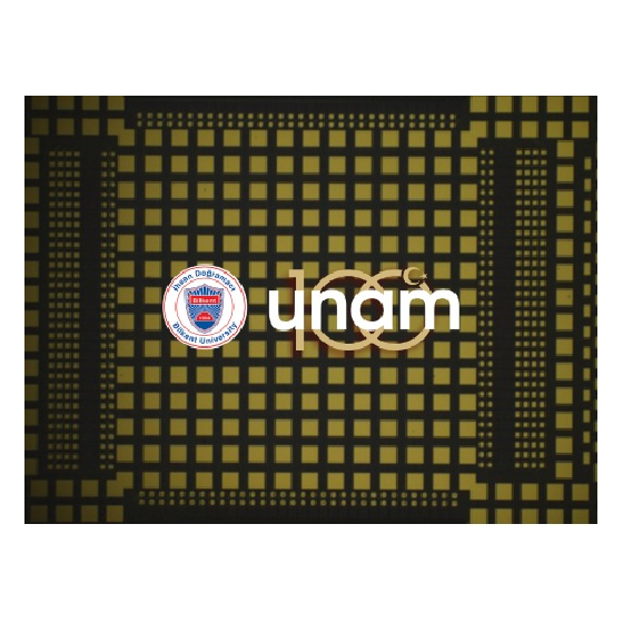 ビルケント.jpg