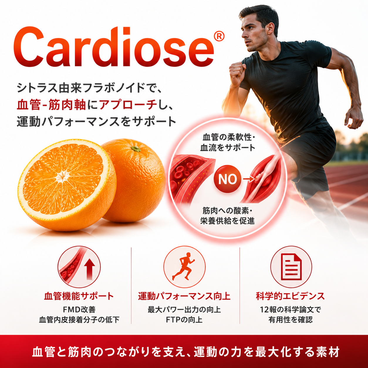 次世代の運動パフォーマンス素材-CardioseⓇ