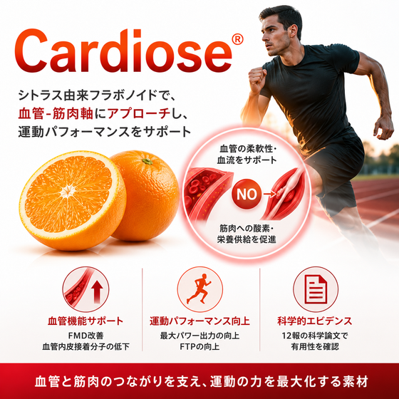 99585d1e-4126-49ba-87bc-8536d6747a60.png
