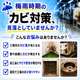 ChatGPT Image 2026年7月2日 14_24_38.png