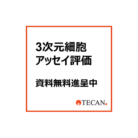 TNスフェロイド.png