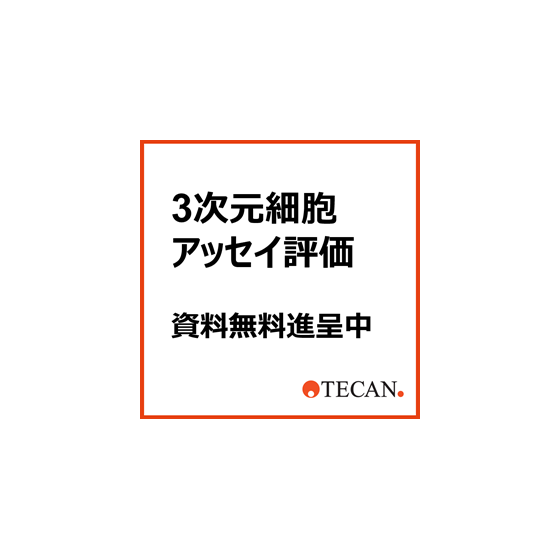 TNスフェロイド.png