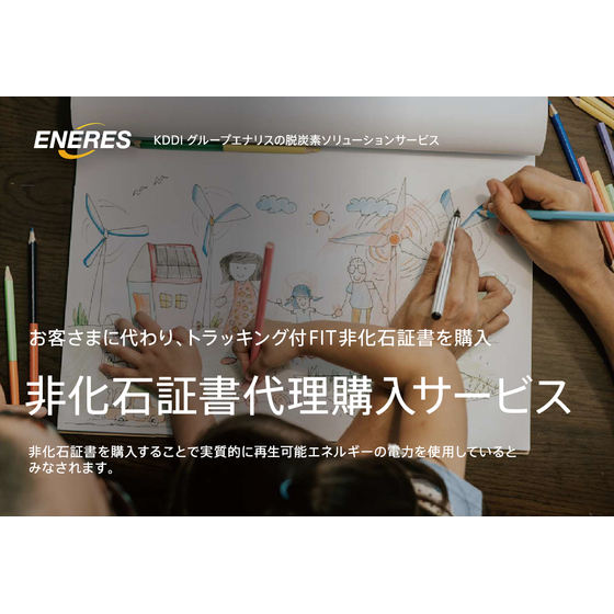 非化石.png