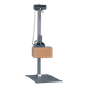 PDT 80.png