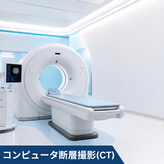 【560角】new CT画像.png