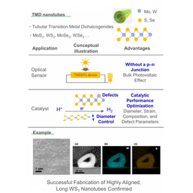 Hokkaido Univ. Technology：Transition Metal Dichalcogenide Nanotubes：HK26-001