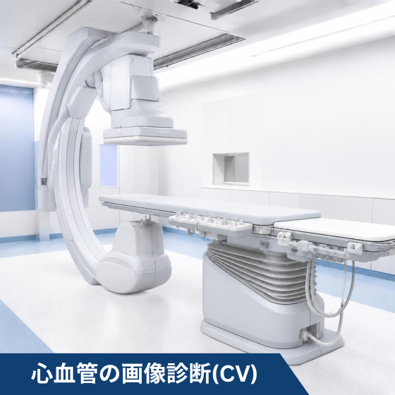 【560角】CV.png