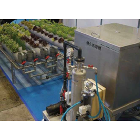 Preventing Failures in Aquaponics! The Essential Reason for Dissolved Oxygen (DO)