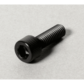 Polyamide resin-based molded screw "RENY SCREW"