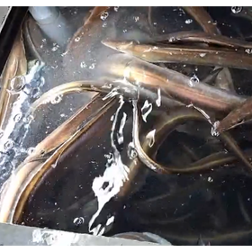 船倉の活魚保管による斃死を減らす酸素供給ファインバブルシステム