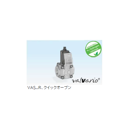 VAS1.png