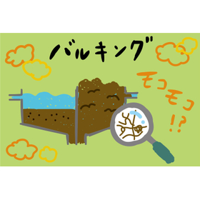 バルキングとは?汚泥が沈まない原因【基礎知識】