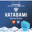 Cybersecurity Measures | [KATABAMI VDP] Vulnerability Assessment