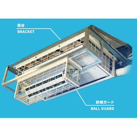 Ball guard
