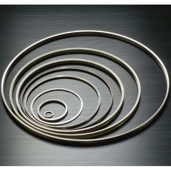 ACTISEAL-E.jpg