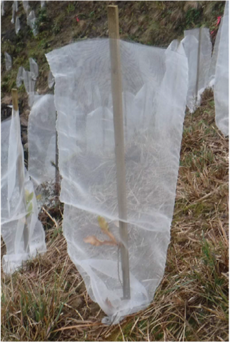 【林業向け】フォレストガード エコ