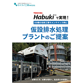 Proposal for Temporary Drainage Treatment Plant