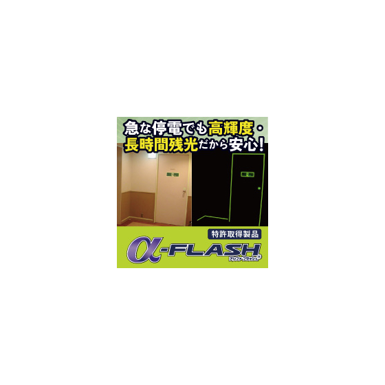 イプロス用TOP画像_製品情報(&alpha;フラッシュ).jpg
