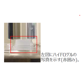 セルロースナノファイバー(CNF)ゲルの創製：T25-018