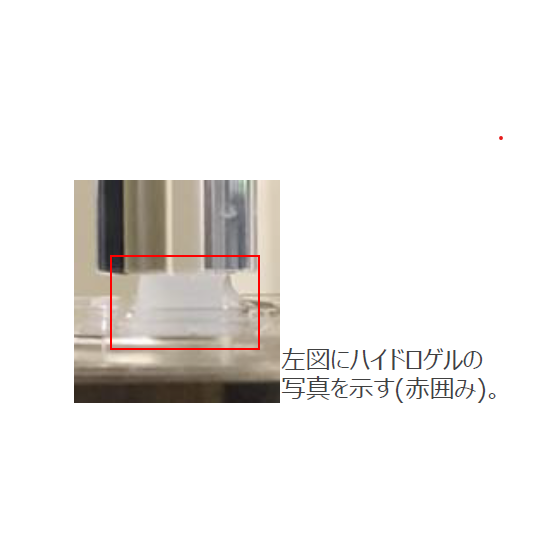 T25-018_1.png