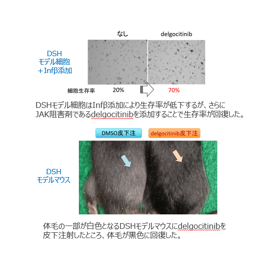 A26-001_1.png