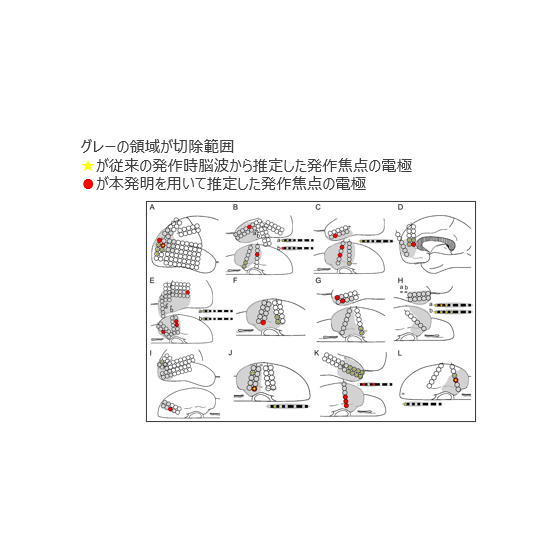 T21-359_1.png