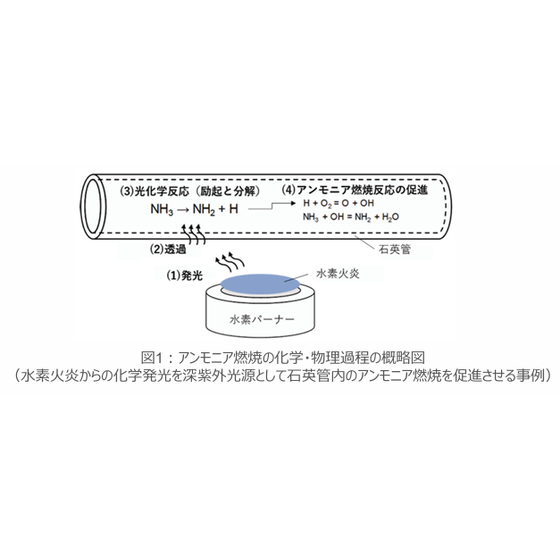 T24-101_1.png