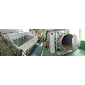 About the processing equipment (pro...