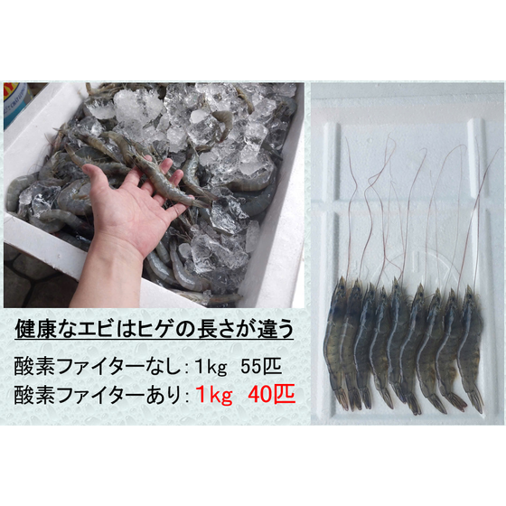 スクリーンショット 2026-09-15 152546.png