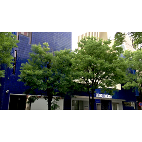 テラコッタ納入実績：ヨックモック青山様