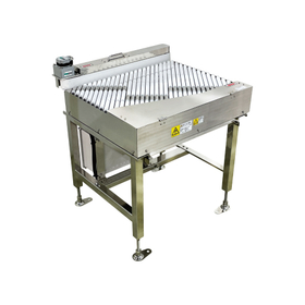 Width-adjusting aligned roller conv...