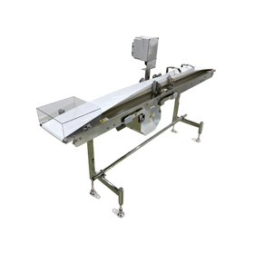 Double-sided inverted conveyor FTO