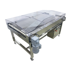 Slide-type sorting conveyor waterpr...