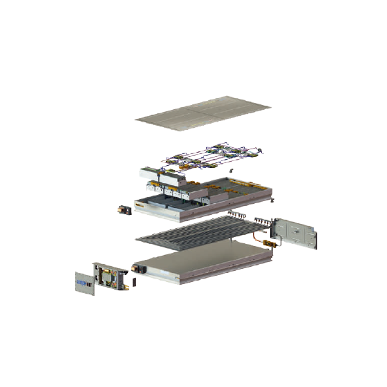 ampHerr1.png