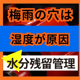 梅雨から夏はピンホールが増える理由とは