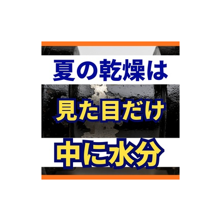 夏場の脱脂乾燥時間を削ると起きること.jpg