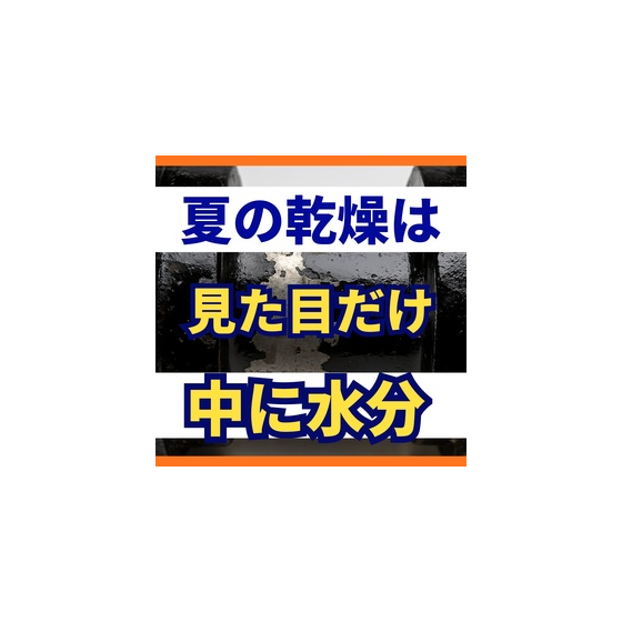 夏場の脱脂乾燥時間を削ると起きること.jpg