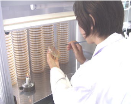 【化粧品処方向け】受託研究開発